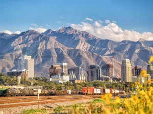 Das Bild zeigt die Skyline von Denver mit modernen Hochhäusern im Vordergrund und den imposanten Rocky Mountains im Hintergrund. Vor der Stadt verlaufen Bahngleisen mit einem Güterzug. Die Szene ist beim klarem Wetter aufgenommen, im Vordergrund blühen gelbe Wildblumen.