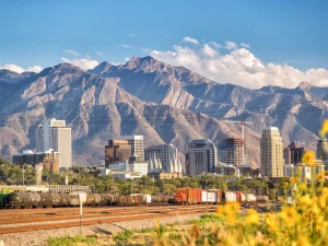 Das Bild zeigt die Skyline von Denver mit modernen Hochhäusern im Vordergrund und den imposanten Rocky Mountains im Hintergrund. Vor der Stadt verlaufen Bahngleisen mit einem Güterzug. Die Szene ist beim klarem Wetter aufgenommen, im Vordergrund blühen gelbe Wildblumen.