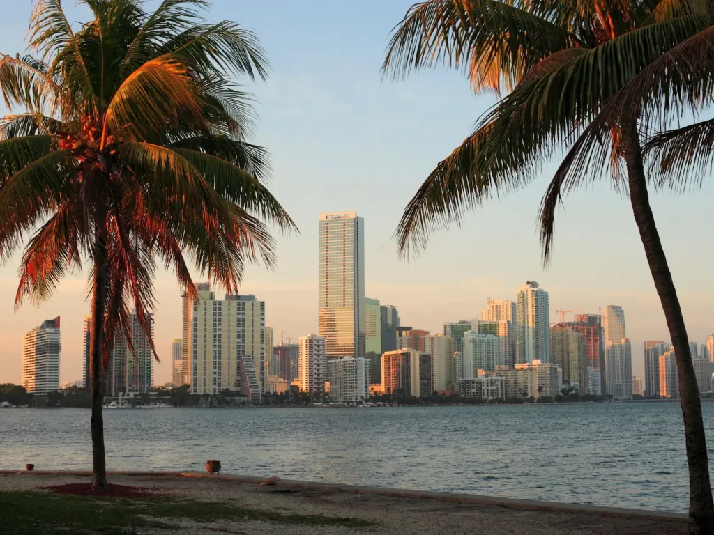 Hochhäuser der Skyline von Florida zwischen Palmen am Wasser bei Sonnenuntergang.