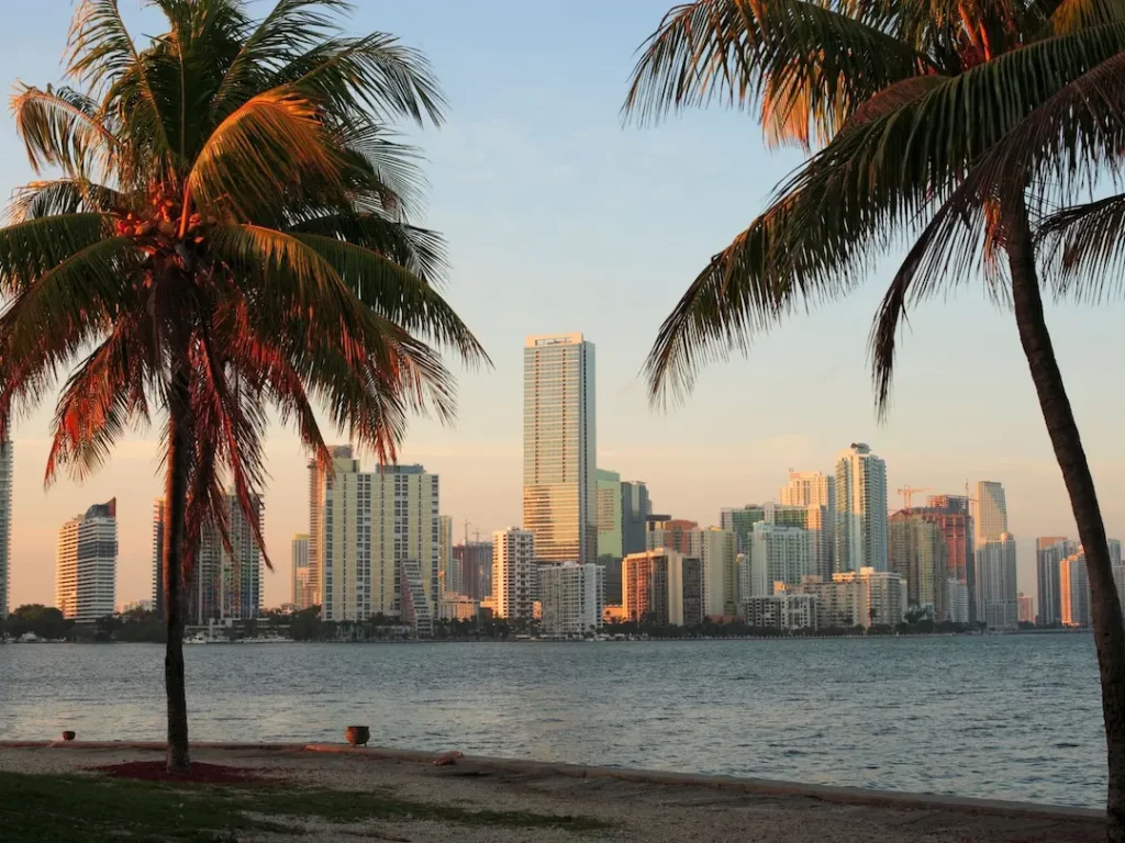 Das Bild zeigt eine Aussicht auf die Skyline von Miami bei Sonnenuntergang. Zwei Palmen rahmen den Vordergrund ein, während sich im Hintergrund moderne Hochhäuser und Wolkenkratzer entlang der Küste erstrecken. Das warme Licht des Sonnenuntergangs wirft eine goldene Farbe auf die Palmen und die Gebäude, und das Wasser im Vordergrund spiegelt die Szene wider.