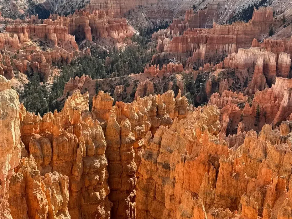 Auf dem Bild sieht man den Grand Canyon mit seinen charakteristischen roten Felsformationen und vereinzelt grünen Bäumen. Die Felsen sind scharf und hoch aufragend, typisch für diese beeindruckende Schlucht.